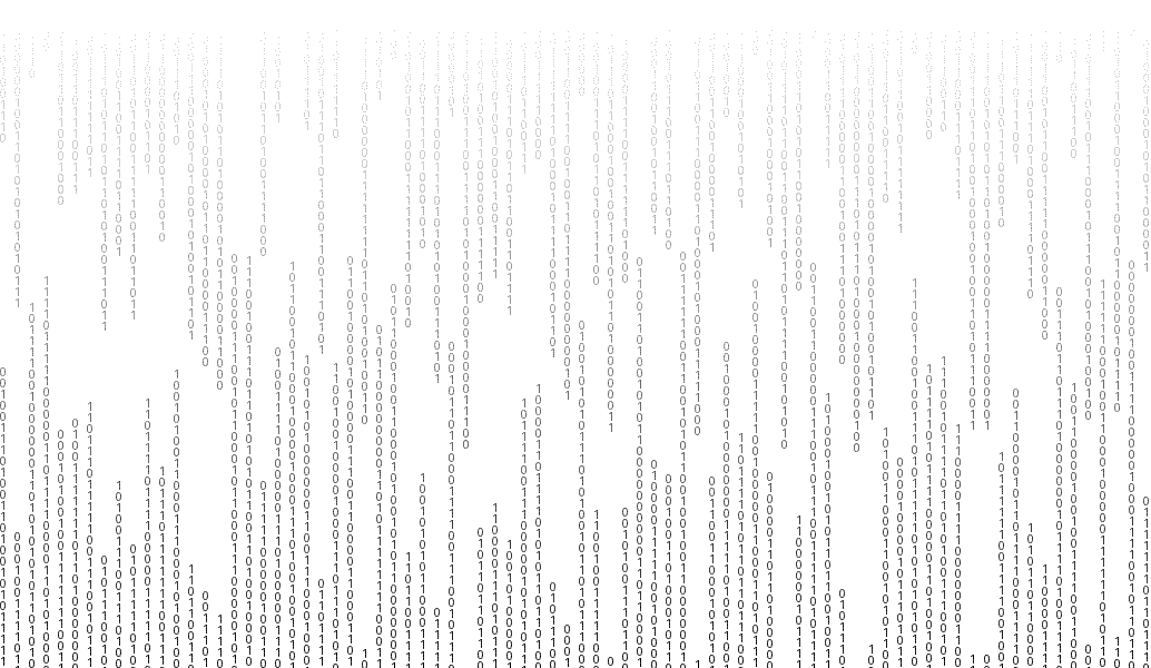 Developer Portfolio — Frontend & Shopify Developer