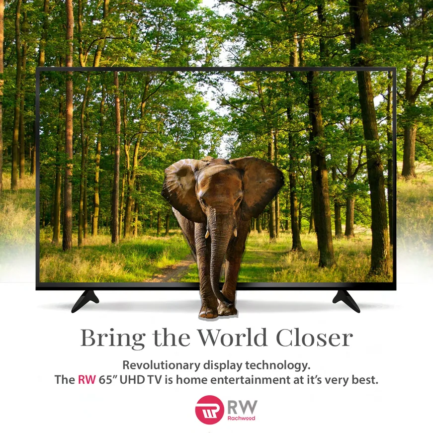 A Rachwood social post: an elephant in a forest filling a 65-inch RW television, under the brand line Bring the World Closer