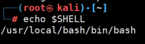 登录 Shell 已改为新安装的 Bash