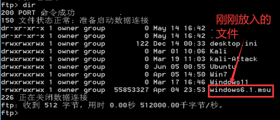 在 FTP 会话中列出远端文件