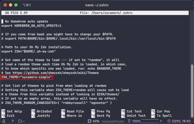在 .zshrc 中设置自定义主题