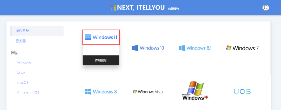 选择 Windows 11 镜像分类