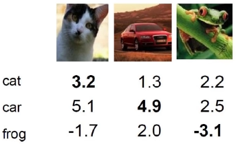 image-20240203132520467