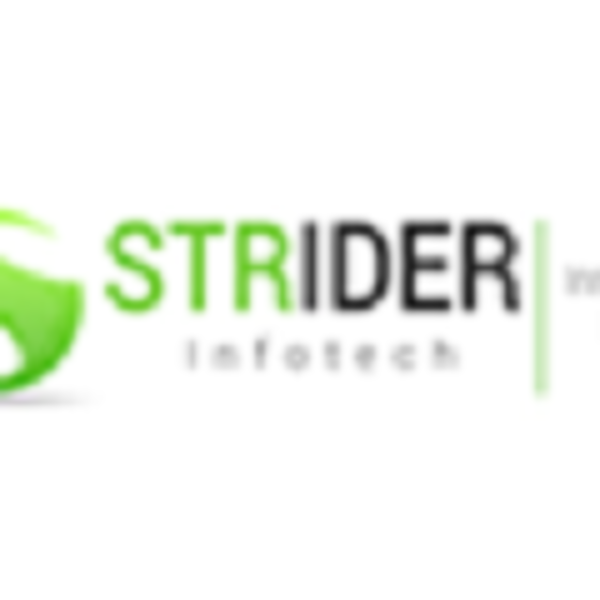 strider infotech