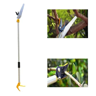 10 Feet Long Aluminum Telescopic Pruner, Cut & Hold Pruner Design For Branch Cutting, Fruit Plucking & Harvesting โ Hectare