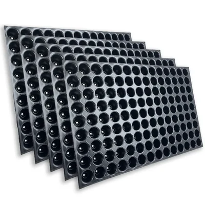 Siddhi 126 Cavities (Round Shape) Reusable Plastic Seedling Tray for Nursery and Gardening(Pack-10 Pcs)