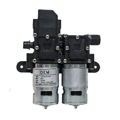 12V DC Double Motor Electric Pump With 160 PSI Pressure โ OEM