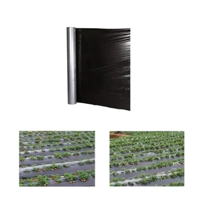 Siddhi 18 micron 400 meter Black and Silver Mulching Sheet | Suitable for Garden and Agriculture Purposes(Size-3.25 feet X 400 meter)