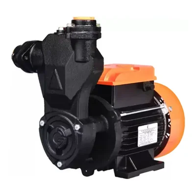CG Power 1 HP 1Phase Copper Winding Self Priming Monoblock Pump, 25X25mm (MiniMAESTRO-I)