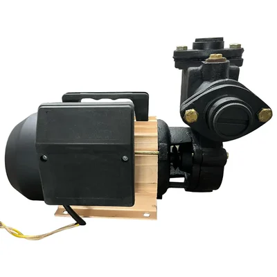 Heavy Duty 1Hp Single Phase Copper Winding Self-Priming Monoblock Pump, 34m Head, 25x25mm