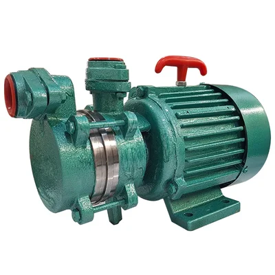 0.5Hp 1Phase Copper Winding High Suction Self Priming Monoblock Pump, 22m Head, 15x15mm, CI Body โ ENJOY