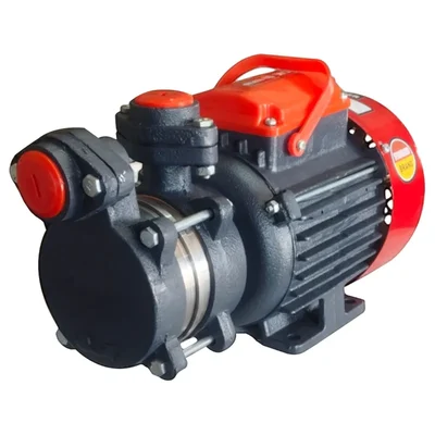 1Hp 1Phase Copper Winding Self Priming Monoblock Pump, 33m Head, 25x25mm โ Riva Gold