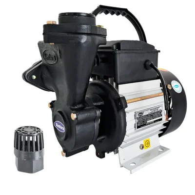 Ventura 1 Hp Single Phase Copper Winding Regenerative Self Priming Monoblock Pump, 25mm (SILVER 100)
