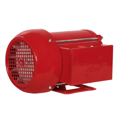 Godrej Lawkim 2 HP 4 Pole Single Phase Foot Mounted AC Electric Motor (LM200LK3523CB)