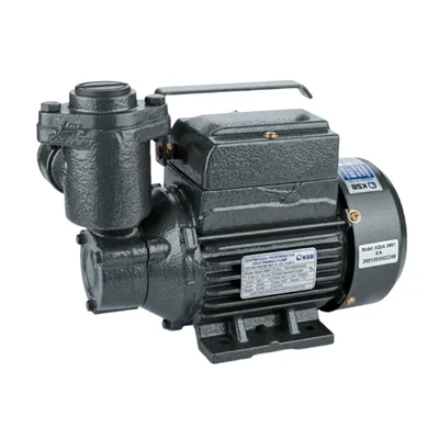 1.0 HP 220V Single Phase Cast Iron Self Priming Water Pump, 48m Head, 51LPM (AQUA SUMO I) โ KSB