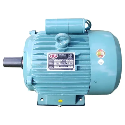 2 Hp 4 Pole Foot Mounted Single Phase Capacitor Start Capacitor Run A.C. Induction Motor With ISI Mark β XLO