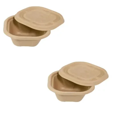 Chuk 1000ml Biodegradable Delivery Container with Lid 1000pcs, Sugarcane Bagasse Bowl for Parties Family Events