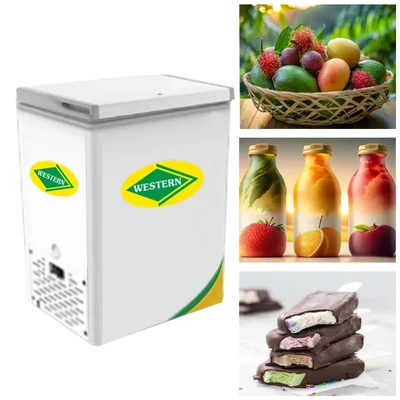 106 Litres Single Door Convertible Deep Freezer, D150H164 for Commercial Outlets โ WESTERN
