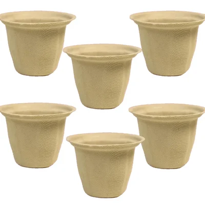 Chuk 110ml Biodegradable Glass 1000pcs, Sugarcane Bagasse Glass for Parties Family Events