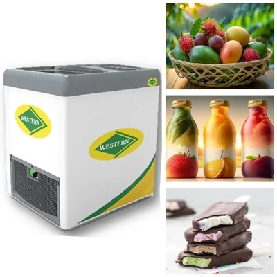 192 Litres Glass Top Deep Freezer Slid Door Non-Convertible, F250GL25 for Ice Cream Parlour and Supermarkets โ WESTERN