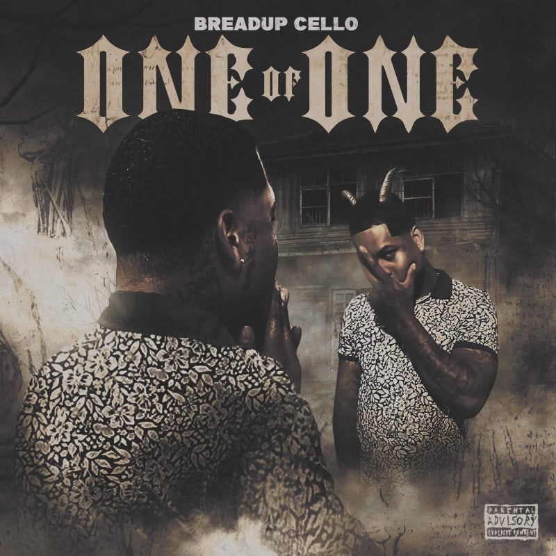 "One of One " - BreadUp Cello