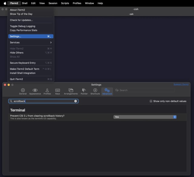 iTerm2’s setting to prevent discarding earlier contents