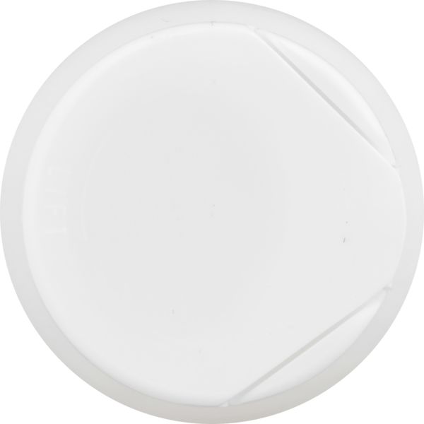 Planogram Top