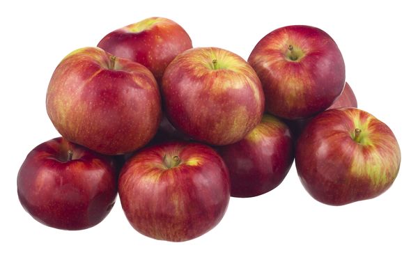 Fresh Mcintosh Apples, 5 lbs Tote