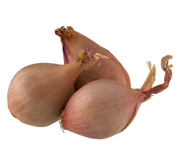 Shallots Recipe & Nutrition - Precision Nutrition's Encyclopedia of Food