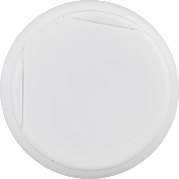 Planogram Top