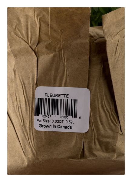 E-Commerce Left