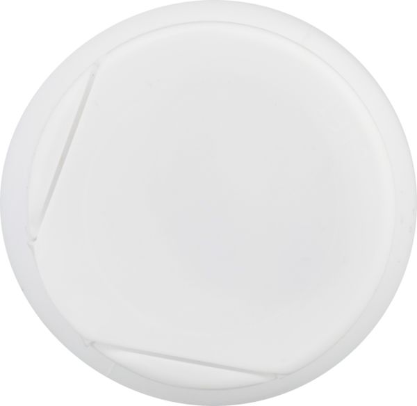 Planogram Top