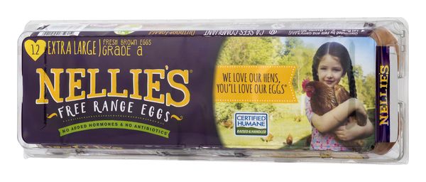 Extra Large Size Free-Range Brown Eggs