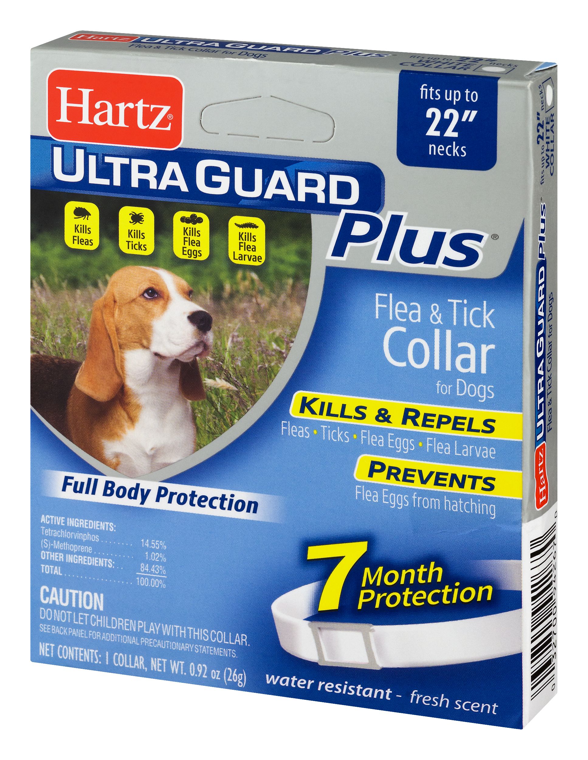 Flea collar that clearance kills fleas and eggs