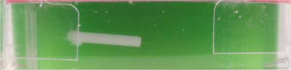 Planogram Top