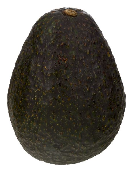 Unripened Hass Avocados - 1 ea