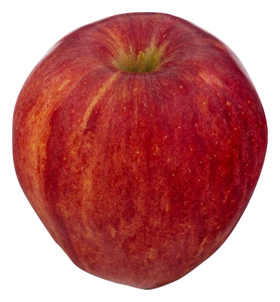 Nature's Promise Organic Apples Gala - 3 lb bag