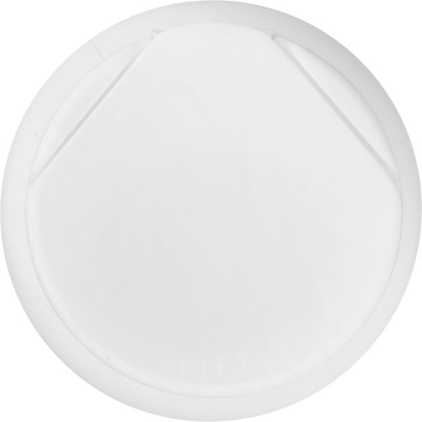 Planogram Top