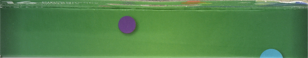 Planogram Top