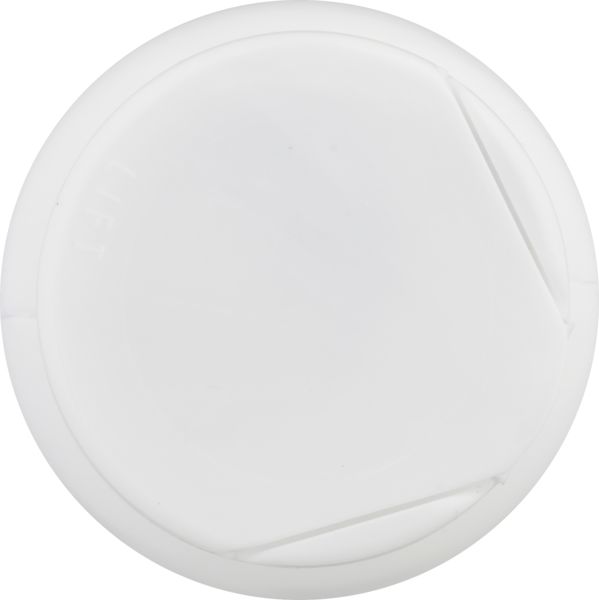 Planogram Top