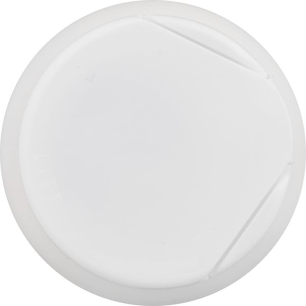 Planogram Top