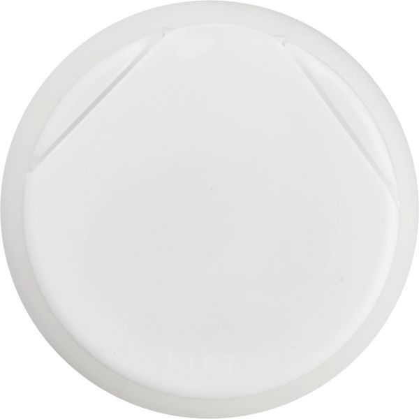 Planogram Top