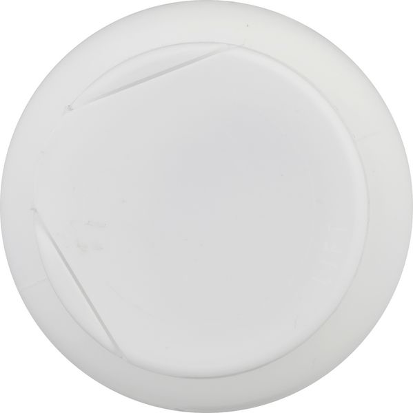 Planogram Top