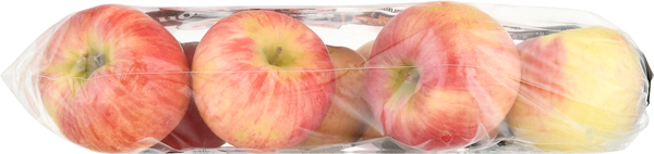 Large Honeycrisp Apple - Each, Large/ 1 Count - Harris Teeter