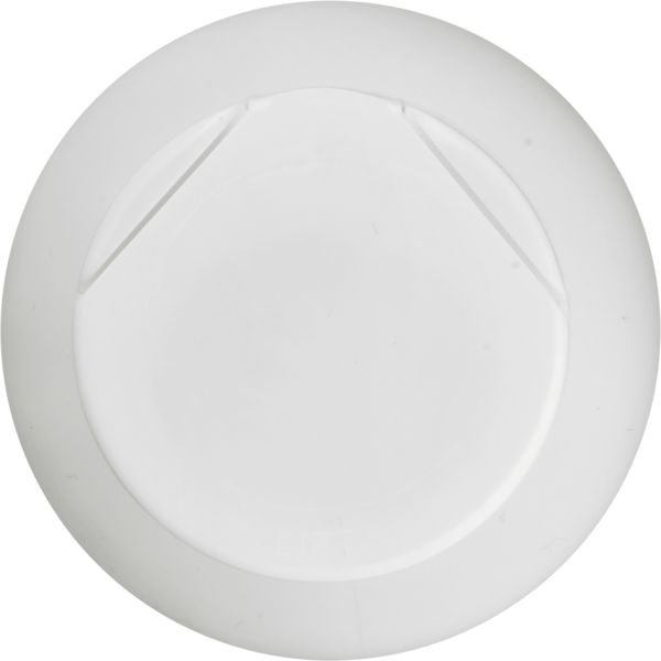 Planogram Top