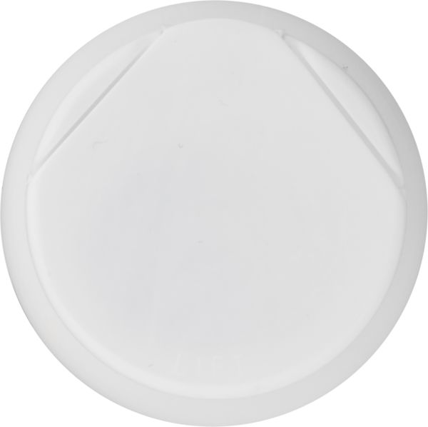 Planogram Top