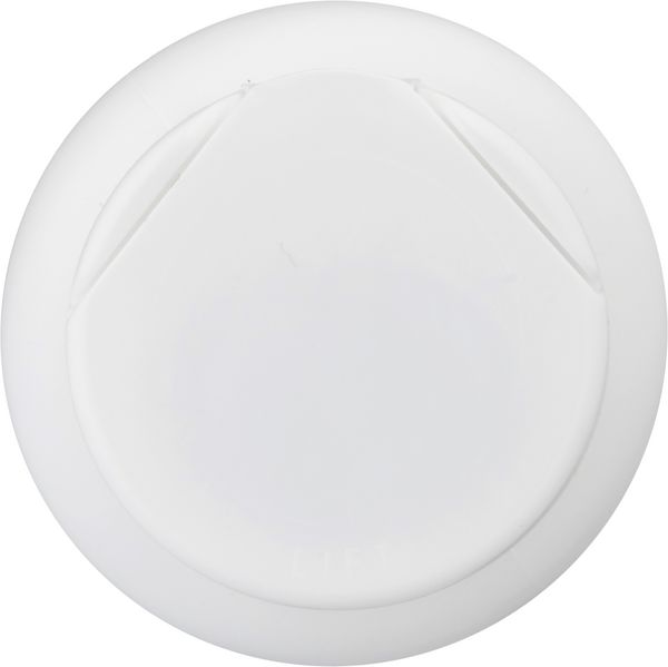 Planogram Top