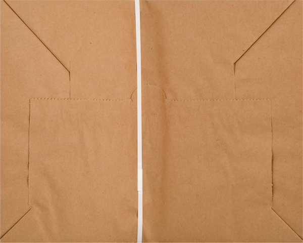 Paper Lawn Bag, 5ct