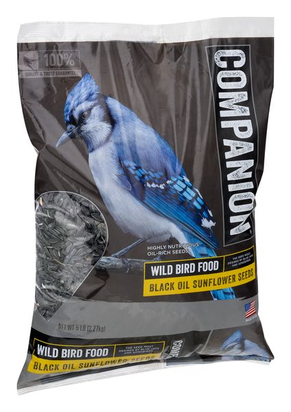 Blue Jay - Wild Bird Feeder and Accessory Store